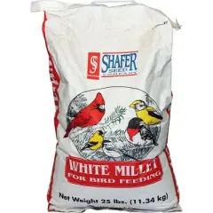 Generic White Millet