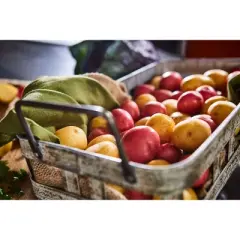 Tasteful Selections Sunburst Blend Nibbles - 16oz