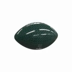 NCAA Hawaii Rainbow Warriors Mini-Size Glossy Football