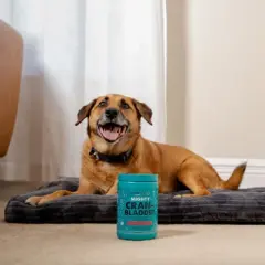 Mighty Paw Waggables Mighty Cran-Bladder | Dog Urinary Support Chews, 120 Ct