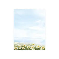 Great Papers! Daisy Day Everyday Letterhead Multicolor 80/Pack (2020145)