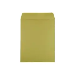 JAM Paper 10 x 13 Open End Catalog Envelopes Chartreuse Green 25/Pack (212813512)