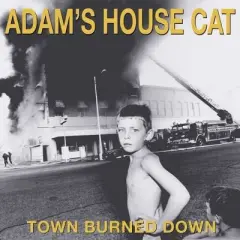 Adam's House Cat - Town Burned Down () (Vinyl)