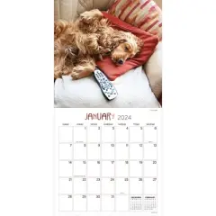 TF Publishing 2024 Wall Calendar 12"x12" Dog Dreams