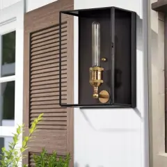 C Cattleya 1-Light Brass Outdoor Wall Light Fixture with Dark Bronze Finsh,12in