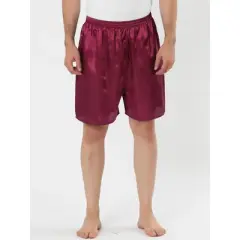 Lars Amadeus Men's Sleepwear Satin Shorts Elastic Waist Lounge Pajama Bottoms