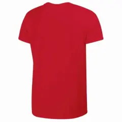 NHL Detroit Red Wings Women's Short Sleeve T-Shirt