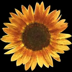 Junior's Design By Humans Sunflower By Maryedenoa T-Shirt