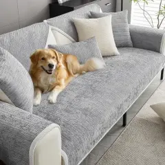 FUNNYFUZZY Pet Couch Cover and everyday wear.