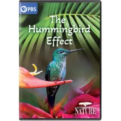 NATURE: The Hummingbird Effect (DVD)