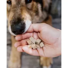 Natural Rapport The Only Freeze Dried Beef Liver Dog Treat - 4oz