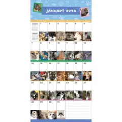TF Publishing 2024 Wall Calendar 12"x12" Cat-A-Day