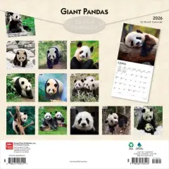 BrownTrout Giant Pandas 2026 12"x24" Hanging Square Wall Calendar Plastic-Free