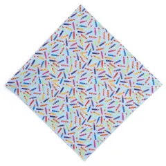 It's My Birthday Bandana