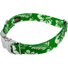 Country Brook Petz Premium Kelly Green Hawaiian Dog Collar