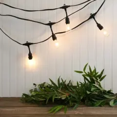 LumaBase Electric Commercial-Grade String Lights with 12 Edison Bulbs