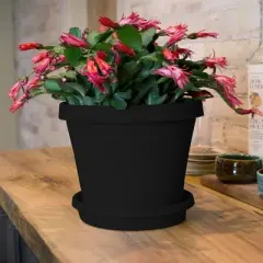 Bloem Terra Pot Planter