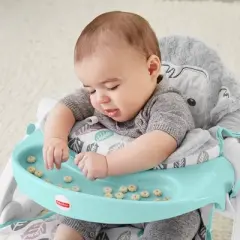 Fisher-Price SnugaMonkey Sit Me Up Floor Seat