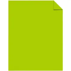 Astrobrights Card Stock, 8-1/2 x 11 Inches, Terra Green, Pack of 250