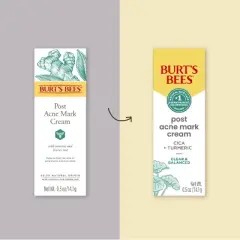 Burt's Bees Post Acne Spot Treatment - 0.5oz