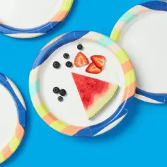Disposable Plate 10" - Stripes - 24ct - up&up&trade;
