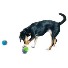 PetSafe Ricochet Battery Dog Toy - Gray