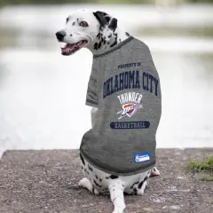 NBA Oklahoma City Thunder Pets T-Shirt