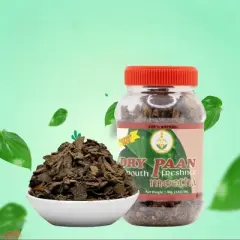 Shastha Traditional  Dry Paan Meetha Breath Freshener, Mint (Pack of 4) Each Jar has 80g