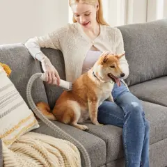 FIRNEWST All - in - One 5 - Function Dog & Cat Grooming Set: 2.5L High - Capacity Pet Hair Vacuum + Professional Electric Clippers