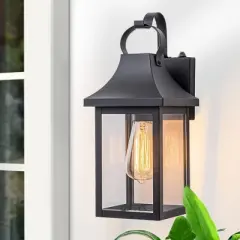 C Cattleya 1-Light Dusk to Dawn Outdoor Wall Lights with Matte Black Finish