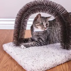 Ware Manufacturing Brush-N-Scratch Groomer for Cats (Carpet Design May Vary)