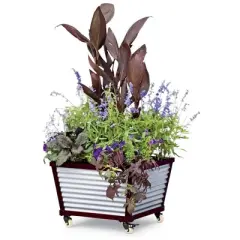Galvanized Self-Watering Planter Square, Short