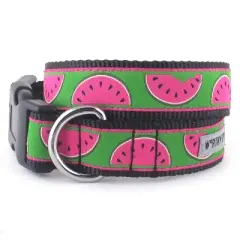 The Worthy Dog Watermelon Dog Collar