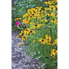 18" x 24" Jardin Half-Round Supports, Set of 2