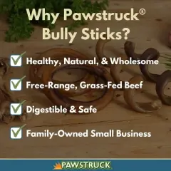 Pawstruck Natural Bully Stick Springs for Dogs - Healthy Grain-Free Single Ingredient Dental Treats Chews Made in USA