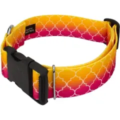Country Brook Petz HossFit Jr Wide Deluxe Dog Collar - Abstract Collection