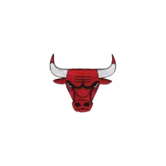 NBA Chicago Bulls 16oz Primary Logo Classic Tumbler