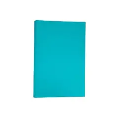 JAM Paper Ledger Matte 24lb Paper 11 x 17 Tabloid Sea Blue Recycled 16728465