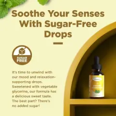 Organic Lemon Balm Drops, Liquid Extract for Immune Support, Promotes Mood & Relaxation, Phytoral, 15 servings