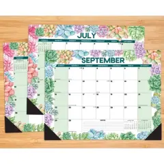 Willow Creek Press 2024 Monthly Planner 22"x17" Succulents