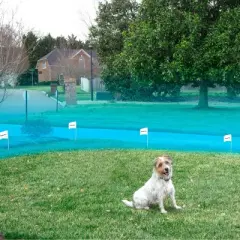 Premier Dog Pet In-Ground Fence - Black