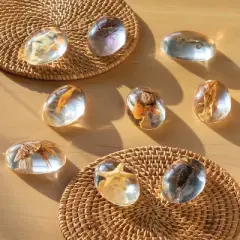 Kaplan Early Learning Specimen Stones and Tabletop Stand