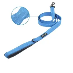 Voyager Reflective Dog & Cat Nylon Leash for All Breeds