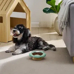 Sam's Pets Daisy Oak Stand Pet Bowl In Glossy Mint
