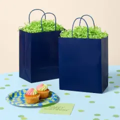 Multipack Gift Bags 25ct Navy Blue - Spritz&trade;