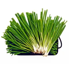 Fresh Organic Green Onion Bunch - 5.5oz