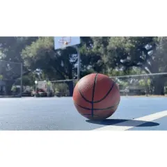 Botabee 5 inch Small Rubber Basketballs, Perfect for Mini Hoop & Kids, 2 Pack, Red