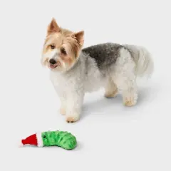 Pickle Dog Plush Toy - Boots & Barkley&trade;