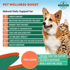 Beloved Pets Herbiotic Natural Herbal Holistic Defense for Dogs and Cats, Urinary Tract, Respiratory, & Intestinal Health 2 oz - 1 pack
