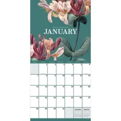 TF Publishing 2024 Wall Calendar 12"x12" Vintage Botanicals